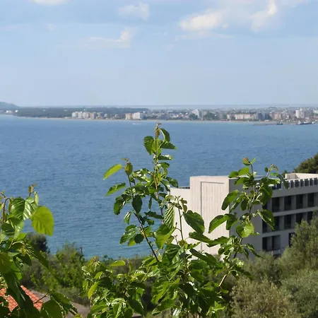 The View Albania 아파트